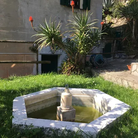 Apartment Molfinetta