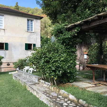Apartment Molfinetta *